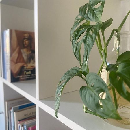 Bnb36 Forlì Екстериор снимка